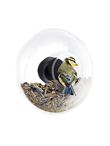 EVA SOLO | Window Bird Feeder | Get the birdlife Closer, Small Birds Lands smoothly on the Edge | Danish Design, Functionality & Quality | Outdoor