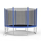 TRY & DO 10FT Trampoline for Kids and Adults - Outdoor Recreational Jump Bounce Trampoline with Enclosure Net and Ladder and Spring Pad - Family Fun Healthy Time …
