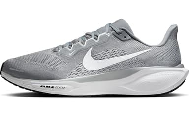 Nike Men's Pegasus 41 Cool Grey/White/Wolf Grey/Pure Platinum 9 Medium