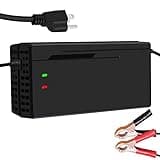 DUDHOIK 36V/43.8V 10A Lifepo4 Charger 110V 120V with Cooling Fan Lithium Battery Charger Multiple Protection Functions for 36V Lifepo4 Battery