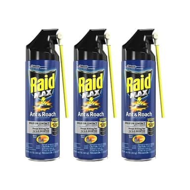 Raid Max Ant and Roach Spray, 14.5 Ounce (Pack of 3)
