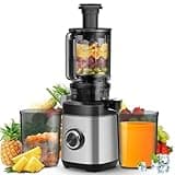 PSIIDAN Juicer Machines, Cold Press Juicer for Whole Fruit and Vegetable, Masticating Juicers, High Juice Yield, Juice Extractor Machine, BPA Free (Silver)
