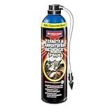 BioAdvanced Termite and Carpenter Bee Killer Plus, Foam, 18 oz