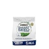 Pennington 100543705 Smart Seed Kentucky Blue Grass Mix 3 lb, Black Label