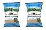 Jonathan Green Blue Panther Kentucky Blue Grass Seed, 3-Pound (2 Pack)