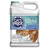 Cat's Pride Lightweight Clumping Litter: Flushable - Powerful Odor Control - Scented, 10 Pounds
