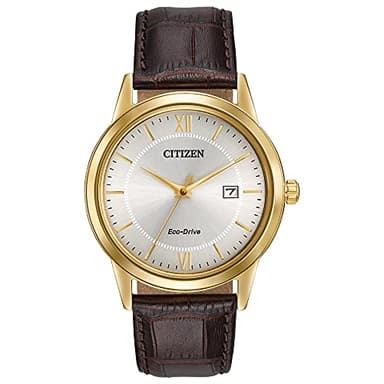 Citizen Men's Eco-Drive Classic Watch in Gold-Tone Stainless Steel with Brown Leather Strap, Champagne Dial (Model: AW1232-04A)