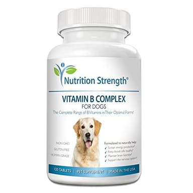 Nutrition Strength Vitamin B for Dogs, Complete B Complex for Dogs, Promote Blood Cell & Nervous System Health, Help Sustain Cellular Energy Production & Maintain Brain Function, 120 Chewable Tablets