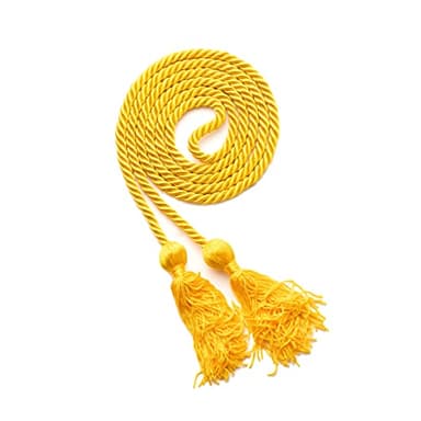 WeGraduate Graduation Honor Cord 68'' with Soft Touch Tassel (Gold)