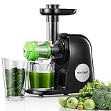Juicer Machines, HOUSNAT Professional Celery Slow Masticating Juicer Extractor Easy to Clean, Cold Press Juicer with Quiet Motor and Reverse Function for Fruit & Vegetable, Brushes & Recipes Included