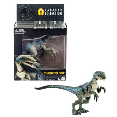 Mattel Jurassic World Hammond Collection Dinosaur Action Figure, Velociraptor 'Blue' Dino Toy with Articulation