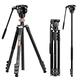 Cayer FP2450 Fluid Head Tripod, 75 inches Aluminium Video Tripod, 4-Section Compact Camera Tripod Monopod with Fluid Head for DSLR Camera, Camcorder, Load Capacity up to 13.2 Pounds