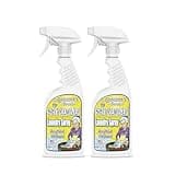 Grandma's Secret Spot Remover Laundry Spray - Chlorine, Bleach and Toxin-Free Fabric Stain Remover for Clothes - Removes Oil, Paint, Blood and Pet Stains - 16 Oz, 2 Pack