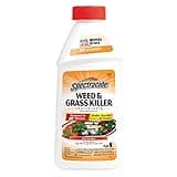 Spectracide 66001 Weed & Grass Killer Concentrate2 (HG-), 16 oz.