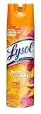 Lysol Disinfectant Spray, Sanitizing and Antibacterial Spray, For Disinfecting and Deodorizing, Mango & Hibiscus Scent, 19 Fl Oz, (Packaging May Vary)