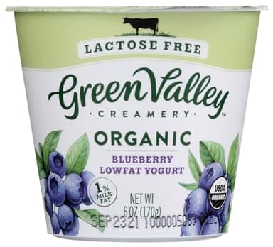 Green Valley Organic Lactose Free Blueberry Yogurt, 6 Ounce - 12 per case.