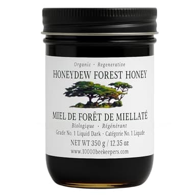 Honeydew Forest Organic Raw Honey in Glass Jar, Raw Organic Honey with High Antioxidants, Extracted from Wild Honeycomb and Nectar from Tree Sap, Unpasteurized Miel Organica, 12.3oz