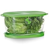 Progressive International Prep Solutions by Progressive Lettuce Keeper, 4.7 Quarts, Green