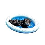 Poolcandy Inflatable Pet Float for Small to Medium Dogs up to 35 lbs. for The Beach, Swimming Pools or The Lake.