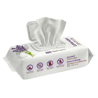 Best Pet Supplies 8" x 9" Large Dog Wipes - Cleaning and Deodorizing for Paws and Coat - Gentle Formula with Lavender Vitamin E for Puppies and Cats - 100 Count