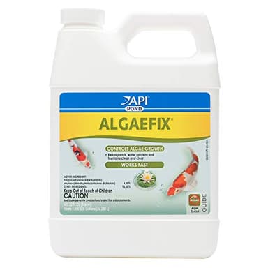 API POND ALGAEFIX (32 fl oz) Pond Algae Control - Copper Free - Clean, Clear Water - Up to 9600 Gallons - Safe for Fish & Plants - Water Gardens, Fountains - Natural Active Ingredient - EPA-Registered