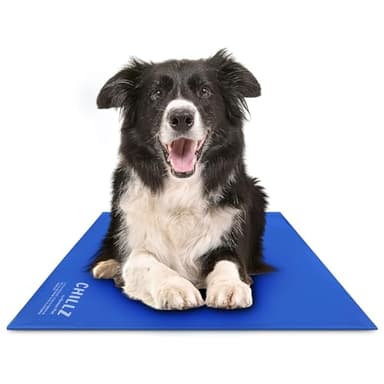 The Green Pet Shop Chillz Gel Mat, Large - Pressure-Activated Cooling Pad for Pets 25-50 lbs - Non-Toxic, No Water or Refrigeration Needed - Ideal for Home, Travel & Crates