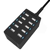 Sabrent 60 Watt (12 Amp) 10-Port [UL Certified] Family-Sized Desktop USB Rapid Charger. Smart USB Ports with Auto Detect Technology [Black] (AX-TPCS)