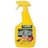 Harris Asian Lady Beetle and Box Elder Killer, Liquid Spray with Odorless and Non-Staining Extended Residual Kill Formula (32oz)
