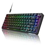 RK ROYAL KLUDGE R75 Wired Mechanical Gaming Keyboard, 75% Hot-Swap Mechanical Keyboard Volume Knob, Soft Pre-lubed Tactile Brown Switch