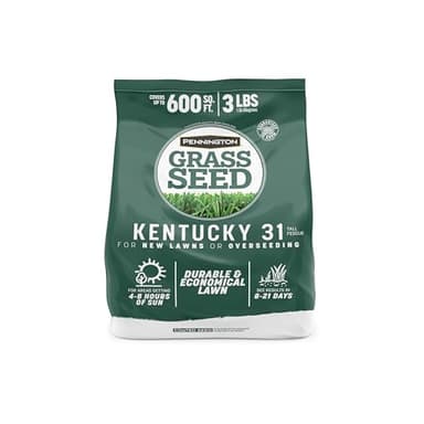 Pennington Kentucky 31 Tall Fescue Penkoted Grass Seed 3 lb