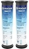 Pentair OMNIFilter TO1 Carbon Water Filter, 10-Inch, Standard Whole House Carbon Wrap Sediment and Taste & Odor Replacement Filter Cartridge, 10" x 2.5", 5 Micron, Pack of 2