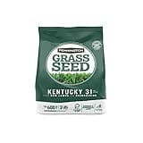 Pennington Kentucky 31 Tall Fescue Penkoted Grass Seed 3 lb