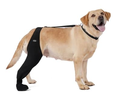 Dog Socks to Prevent Licking Paws ，Breathable Leg Sleeve to Stop Licking and Biting， Firm and Secure Adjustable Size Dog Recovery Sleeve Socks (L-Right)