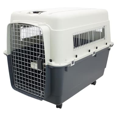 SportPet Designs Plastic Kennels Rolling Plastic Airline Approved Wire Door Travel Dog Crate, XXX-Large, Gray