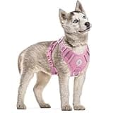 Hipubby Dog Harness Small Sized Dog, No Pull Pet Harness with 2 Metal Rings and Control Handle, Adjustable Soft Dog Vest with Reflective Strips, Easy Walking and Training for Small Dogs, Pink, S