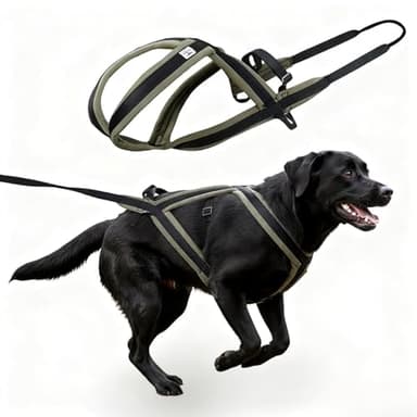 GentleBliss Weight Pulling Dog Harness for Dogs - Dog Pulling Harness for Sled & Running Training (Forest Green,L)