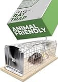 Humane Rat Trap - Large 12" - Metal & FSC® Wood - Animal-Friendly & Reusable - Ready to Use Rat Trap Cage - for Rats, Mouse & Rodent