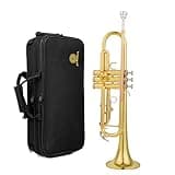 AUROSUS 6331 Bb standard trumpet leadpipe phosphorous coppe for beginner or advanced student case cloth gloves brass musical Instruments (6331H gold brass)