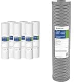 Pentair Pentek DGD-5005-20 Big Blue Water Filter & Pentek NCP-20BB Big Blue Carbon Water Filter, 20-Inch