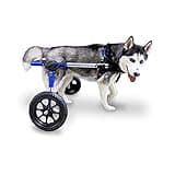 Walkin' Wheels Dog Wheelchair - for Med/Large Dogs 50-69 lbs - Veterinarian Approved - Dog Wheelchair for Back Legs
