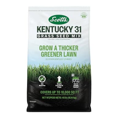 Scotts Kentucky 31 Grass Seed Mix - Premium Lawn Grass Seed, Covers Up to 10,000 sq. ft., 40 lb