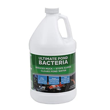 PondValue Ultimate Pond Bacteria, Outdoor Pond & Lake Natural Beneficial Bacteria Treatment, Aquatic Odor Reducer & Sludge Digester, Fish, Plant, & Livestock Safe, Easy Dosing Liquid, 1 Gallon Bottle