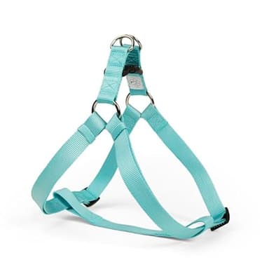 YOULY by Petco Adjustable Dog Harness Turqoise Medium/Large