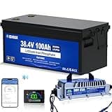 DC HOUSE 36V 100Ah Lithium Golf Cart Battery, Lifepo4 Battery with 36V 25A Charger, Bluetooth Mobile APP &LCD Monitor, Built-in Smart 150A BMS, Peak Current 500A