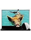 Vivid Storm Since 2004-120 Inch S PRO Motorized Floor-Rising Screen - Crystal-Clear Image Quality with Perfect Flatness | 4K/8K Ultra HD Easy-to-Install Design,VSDSTUST120H