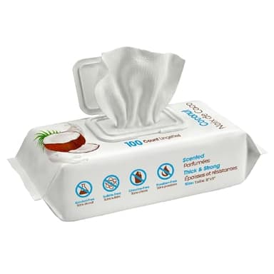 Best Pet Supplies 8" x 9" Large Dog Wipes - Cleaning and Deodorizing for Paws and Coat - Gentle Formula with Coconut Vitamin E for Puppies and Cats - 100 Count