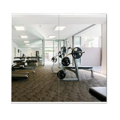 Delma Home Gym Mirror,54''x28''x2PCS,Large Full Body Tempered Glass Frameless, Wall-Mounted for Gym, Yoga, Garage, Bedroom, Bathroom