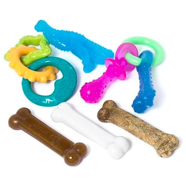 Nylabone New Puppy Starter Kit, 5 Chew Toys and 1 Natural Treat for Puppies, Multi Color, Bacon & Chicken Flavor, Small Dogs - Up to 25 lbs., 6 Pack
