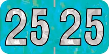 2025 Year Stickers, Doctor Stuff 2025 Chart Stickers, Holographic Aqua Colored, USA Made Year Labels for End Tab File Folders, 500 Labels per Roll, 1 Roll, 3/4" x 1-1/2"