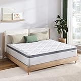 Novilla Full Size Mattress, 12 Inch Full Mattress with Comfort Foam, Full Size Hybrid Mattress in a Box, Mattress Full Size Bed for Pressure & Pain Relief, Soft Feel but Supportive